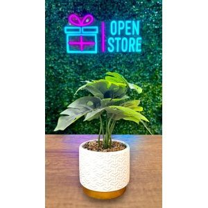 PLANTA CON MACETA CERAMICA N10 22X25CM