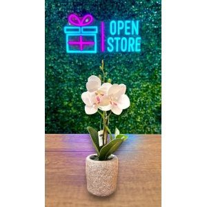 ORQUIDEA N7 (30CM BLANCA)