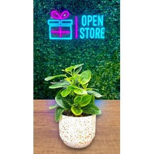 PLANTA CON MACETA CEMENTO Nº29 12X36CM