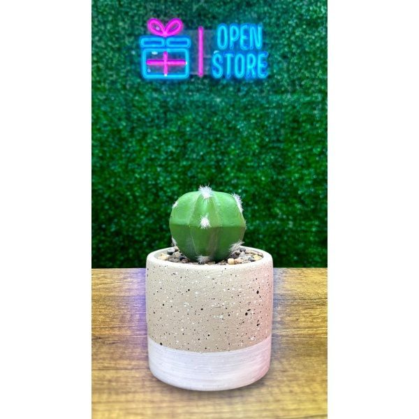 PLANTA C/MACETA N14 (CACTUS)