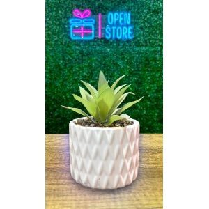 PLANTA CON MACETA CERAMICA N3 (10 X 14CM)