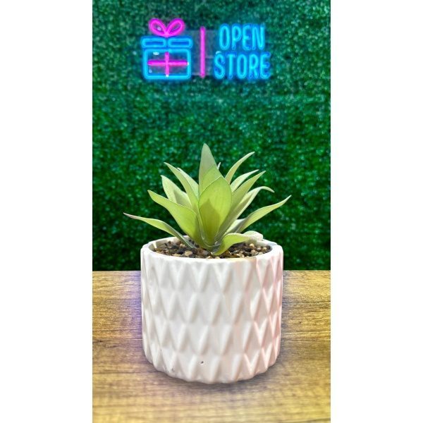 PLANTA CON MACETA CERAMICA N3 (10 X 14CM)