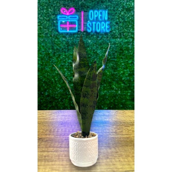 PLANTA CON MACETA CERAMICA N1 (8 X 36CM)