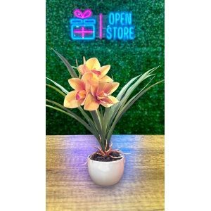ORQUIDEA N51 (32C AMARILLA)