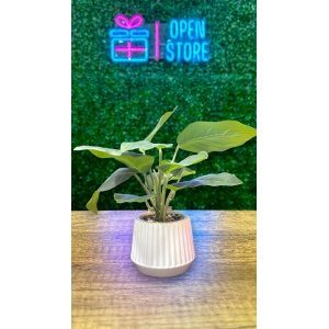 PLANTA ARTIFICIAL N6 23CM PHILODENDRON