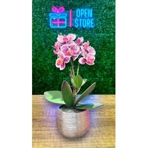 ORQUIDEA N25 (30CM BLANCA JASPEADA)