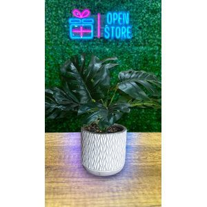 PLANTA C/MACETA N17