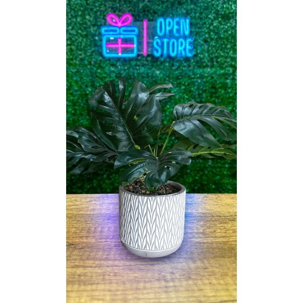 PLANTA C/MACETA N17