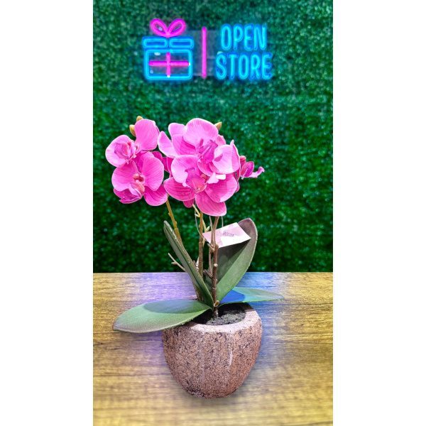 ORQUIDEA N2 (26CM FUCSIA)