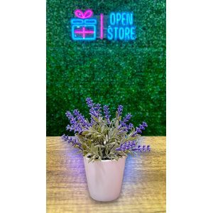 BONSAI LAVANDA N10