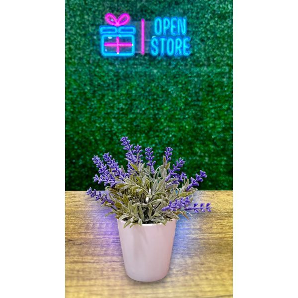 BONSAI LAVANDA N10
