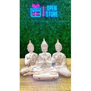 BUDA MEDITACION CHICO