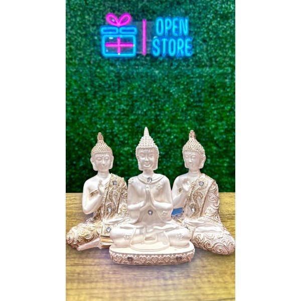 BUDA MEDITACION CHICO
