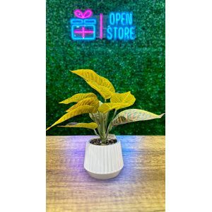 PLANTA ARTIFICIAL N8 23CM CROTON
