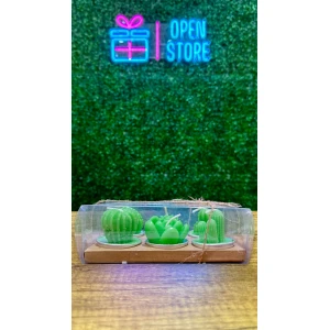 VELAS X6 CACTUS/SUCULENTAS