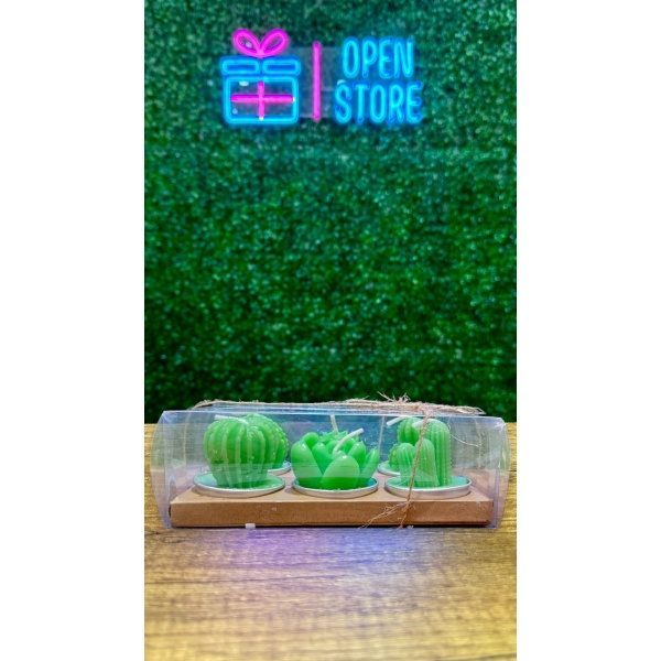 VELAS X6 CACTUS/SUCULENTAS